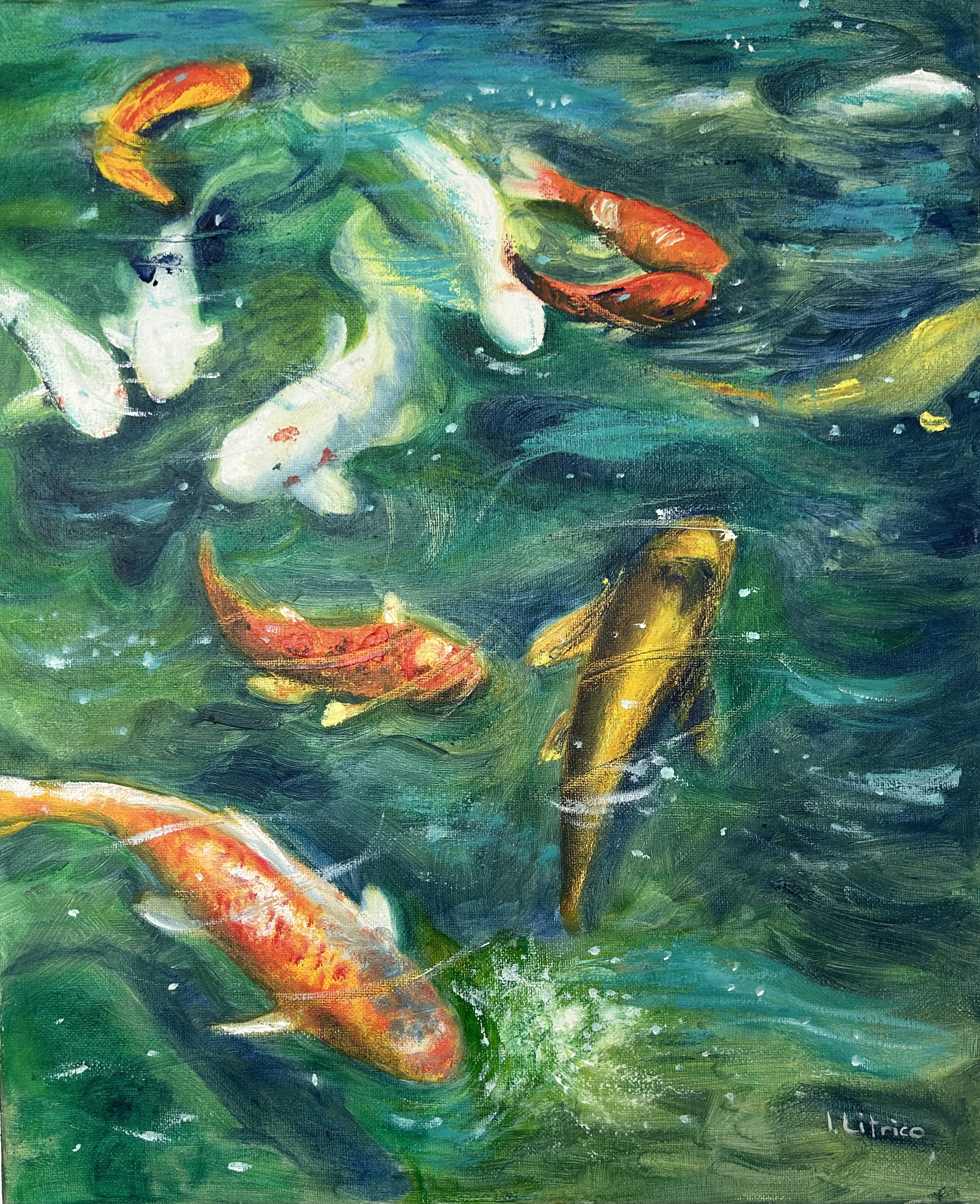 Carpes Koï