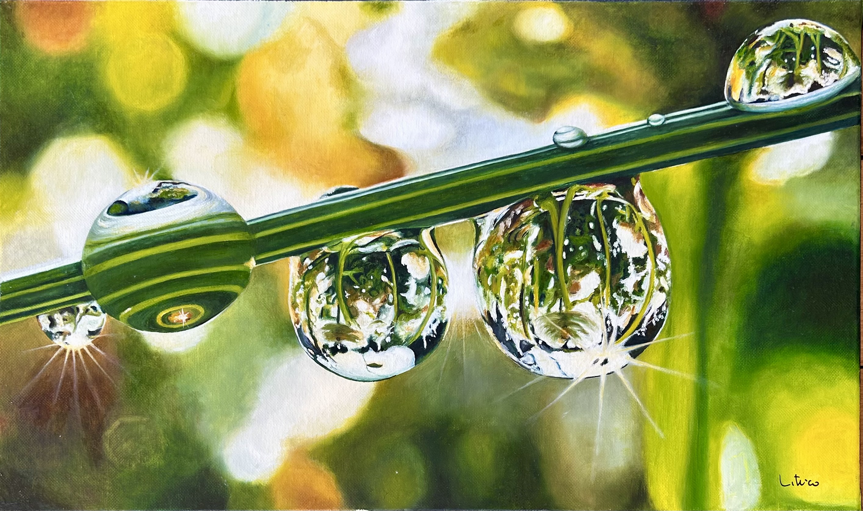 Rosée du Matin